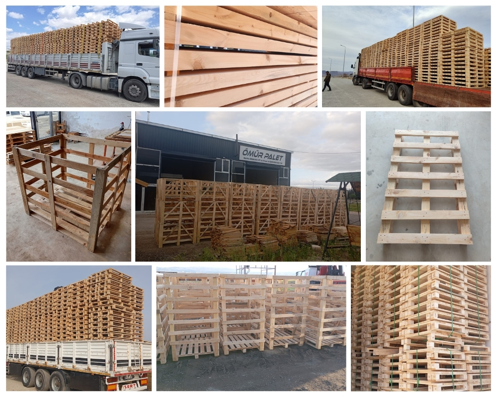 Buiksloot Houten Kisten, Europallets Groothandel Kopen